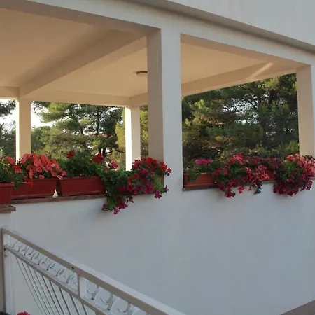 Apartment Brodarica 15708b